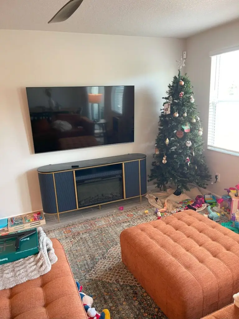 TV Mounting Service in Palm City